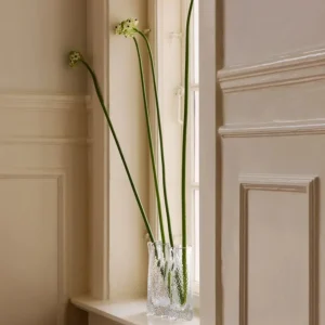 Olsson & Jensen Stem vas