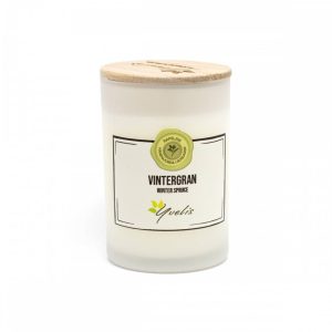 Yvelis Doftljus Vintergran