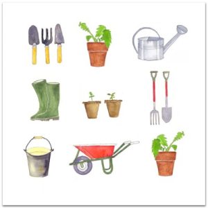 Nobhill Kort Påta i jorden