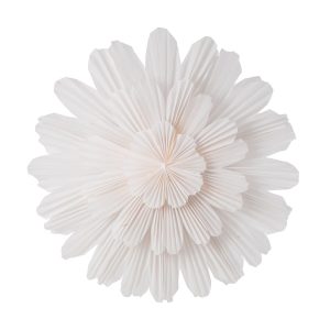 Pappersstjärna Snöblomma